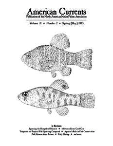 American Currents  Publication of the North American Native Fishes Association Volume 31  
