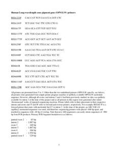 Human Long-wavelength cone pigment gene (OPN1LW) primers RD2e222F CAG CAT TGT GAA CCA GGT CTC  RD2e241F