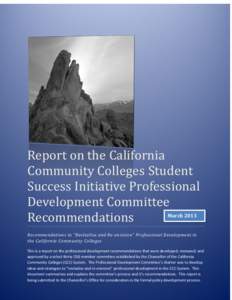 Report on the California Community Colleges Student Success Initiative Professional Development Committee March 2013 Recommendations