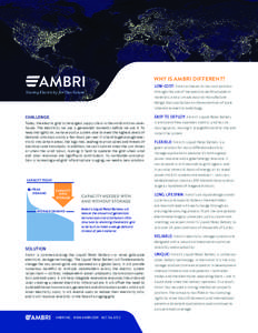 WHY IS AMBRI DIFFERENT? LOW-COST: Ambri achieves its low cost position Storing Electricity for Our Future  through the use of inexpensive, earth-abundant