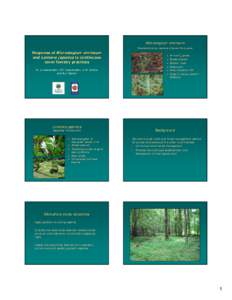 Microsoft PowerPoint - 2. Response of Microstegium and Lonicera to For-Loewenstein