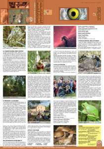 in prima Capriolo - foto Massimo Bellavita / particolare Civetta - foto Luca Colonnelli  Civetta - foto Luca Colonnelli Riserva con attenzione e sensibilità, è possibile incontrare queste creature e farsi sorprendere d