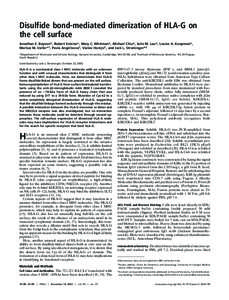 Disulfide bond-mediated dimerization of HLA-G on the cell surface Jonathan E. Boyson*, Robert Erskine*, Mary C. Whitman*, Michael Chiu*, Julie M. Lau*, Louise A. Koopman*, Markus M. Valter*†, Pavla Angelisova‡, Va´c