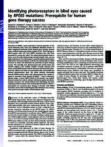 Identifying photoreceptors in blind eyes caused by RPE65 mutations: Prerequisite for human gene therapy success Samuel G. Jacobson*†, Tomas S. Aleman*, Artur V. Cideciyan*, Alexander Sumaroka*, Sharon B. Schwartz*, Eli