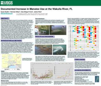 Documented Increase in Manatee Use at the Wakulla River, FL Susan Butler1, Patricia Wilbur2, Gaia Meigs-Friend1, James Reid1 [removed] (1) U.S. Geological Survey/SESC - Sirenia Project, 2201 NW 40th Terrace, Gaine