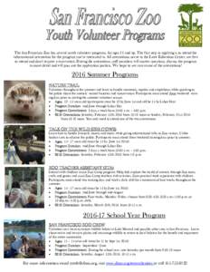 The San Francisco Zoo has several youth volunteer programs, for ages 11 and up. The first step in applying is to attend the informational orientation for the program you’re interested in. All orientations occur in the 
