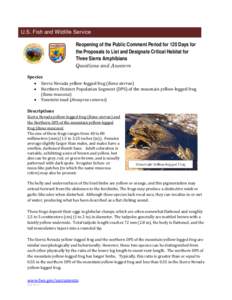 Rana / Conservation in the United States / United States Fish and Wildlife Service / Endangered Species Act / Yosemite National Park / Critical habitat / Yosemite toad / Rana sierrae / Ecology of the Sierra Nevada / Geography of California / Environment / Conservation