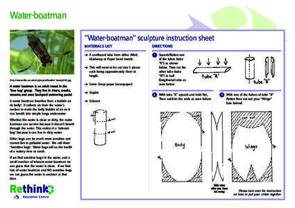 Water-boatman “Water-boatman” sculpture instruction sheet MATERIALS LIST DIRECTIONS