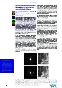 Achievements & Prospects | Scientific Report | Supplements  Nanostructural characterization of mineral particles in healthy and pathological tissues PhD program 2013: Mariana VEREZHAK F