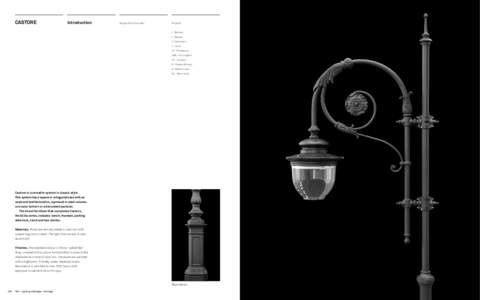 CASTORE  Introduction Design: Domenico Neri