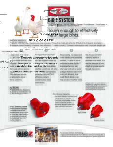 BIG Z SYSTEM  For Broiler Breeder / Broiler Parent • Ducks • Duck Breeder / Duck Parent • Geese • Goose Breeder / Goose Parent  Tough enough to effectively