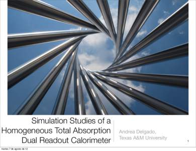 Simulation Studies of a Homogeneous Total Absorption Dual Readout Calorimeter martes 7 de agosto de 12  Andrea Delgado,