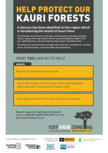 HELP PROTECT OUR  KAURI FORESTS A disease has been identified in this region which is threatening the health of kauri trees. This disease can kill kauri of all sizes, and symptoms include yellowing