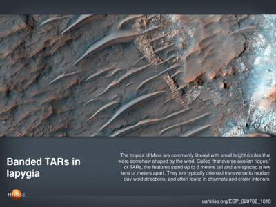 Banded TARs in Iapygia The tropics of Mars are commonly littered with small bright ripples that were somehow shaped by the wind. Called “transverse aeolian ridges,” or TARs, the features stand up to 6 meters tall and