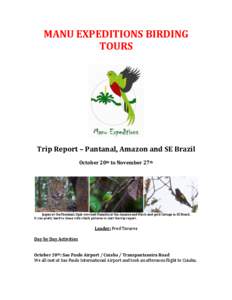 MANU EXPEDITIONS BIRDING TOURS Trip Report – Pantanal, Amazon and SE Brazil October 20th to November 27th