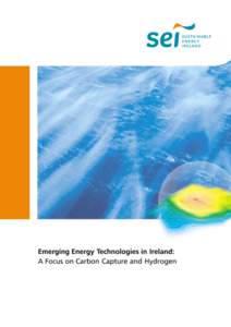Emerging Energy Technologies in Ireland: A Focus on Carbon Capture and Hydrogen Emerging Energy Technologies in Ireland: A Focus on Carbon Capture and Hydrogen