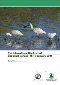 The International Black-faced Spoonbill Census: 16-18 January 2004 Y. T. Yu
