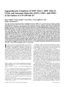 Supramolecular Complexes of M H C Class I, M H C Class I I , CD20, and Tetraspan Molecules (CD53, CD81, and CD82) at the Surface of a B Cell line JY’ JanosSzollosi,* Vaclav H o i e p , 2 t LaszloBene,*PavlaAngelisov6,t