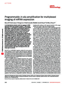 LETTERS  Programmable in situ amplification for multiplexed imaging of mRNA expression  © 2010 Nature America, Inc. All rights reserved.