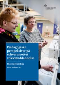 Pædagogiske perspektiver på erhvervsrettet voksenuddannelse Eksempelsamling Bjarne Wahlgren, 2015
