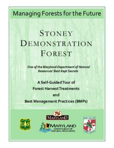 Final Stoney Brochure.pub