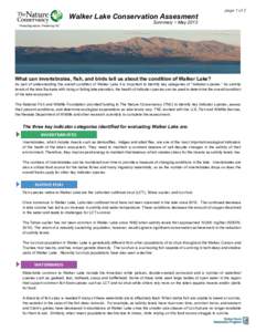 Walker Lake Conservation Assesment  page 1 of 2 Summary ~ May 2013