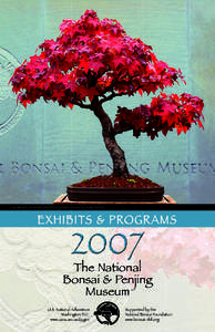 Visual arts / National Bonsai Foundation / Penjing / Deadwood bonsai techniques / United States National Arboretum / Suiseki / Kusamono and shitakusa / Arboretum / William N. Valavanis / Bonsai / Landscape architecture / Botany