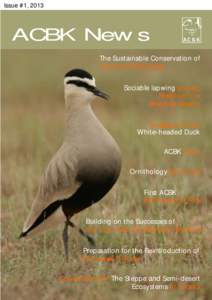 Issue #1, 2013  ACBK News The Sustainable Conservation of Important Bird Areas Sociable lapwing project.