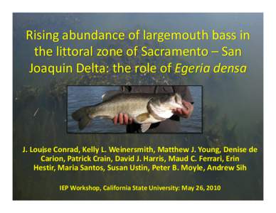 Rising abundance of largemouth bass in the littoral zone of Sacramento – San Joaquin Delta: the role of Egeria densa