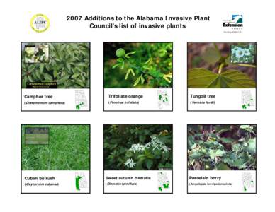 Microsoft PowerPoint - new additions photo sheet-4
