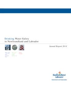 Water management / Water treatment / Irrigation / Hydrology / Water resources / Drinking water / Water quality / Government of Newfoundland and Labrador / Chlorination / Water / Environment / Water pollution
