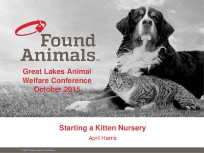 Great Lakes Animal Welfare Conference October 2015 Starting a Kitten Nursery April Harris
