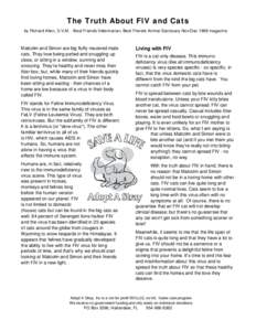 The Truth About FIV and Cats by Richard Allen, D.V.M. - Best Friends Veterinarian, Best Friends Animal Sanctuary Nov/Dec 1998 magazine Malcolm and Simon are big fluffy neutered male cats. They love being petted and snugg