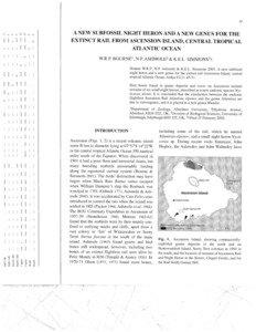 Extinct birds / Ascension Night Heron / Ascension Crake / Saint Helena Swamphen / Inaccessible Island Rail / Storrs L. Olson / Night heron / Black-crowned Night Heron / Boatswain Bird Island / Ornithology / Rallidae / Nycticorax