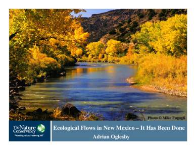 Liquid water / Pecos River / Water / Aquatic ecology / Rio Grande / Water right / Groundwater / Irrigation / Fresh water / Geography of Texas / Geography of the United States / Hydrology