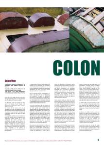 COLON  Colon Vive Diaporama et exposition, 6 septembre / 30 Septembre 2005, Alliance Française de Panama.