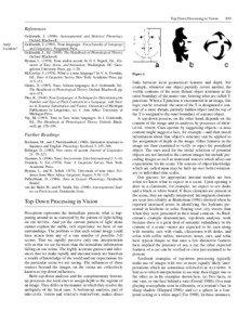 Top-Down Processing in Vision  839