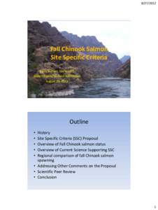 [removed]Fall Chinook Salmon Site Specific Criteria Barry Burnell, Idaho DEQ Water Quality Division Administer