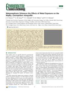 Article pubs.acs.org/est Metamorphosis Enhances the Eﬀects of Metal Exposure on the Mayﬂy, Centroptilum triangulifer J. S. Wesner,*,†,‡ J. M. Kraus,§,∥ T. S. Schmidt,∥ D. M. Walters,∥ and W. H. Clements†
