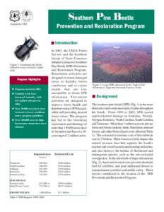 Southern Pine Beetle  Prevention and Restoration Program September 2005