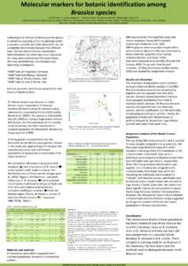 Molecular markers for botanic identification among Brassica species Gert Poulsen1,3, Lorenzo Maggioni2,5 , Anders Smolka3, Roland von Bothmer3 Rikke Bagger Jørgensen4 1 Danish Seed Savers; 2Bioversity International, Mac