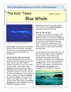 NOAA’s National Marine Fisheries Service, Office of Protected Resources  The Kids’ Times: Volume II, Issue 1