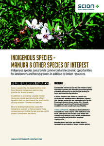 INDIGENOUS SPECIES manuka & other species of interest  Indigenous species can provide commercial and economic opportunities for landowners and forest growers in addition to timber resources.  UTILISING OUR NATURAL RESOUR