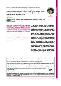 Description of three new species of Psilocera Walker from India, with a key to the Oriental species (Hymenoptera: Chalcidoidea: Pteromalidae) P.M. Sureshan Zoological Survey of India, Western Ghats Regional Centre, Jaffe