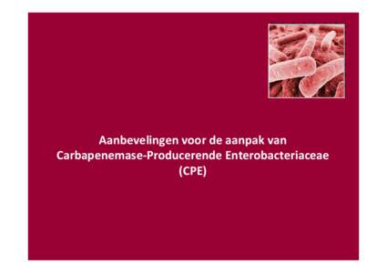 Microsoft PowerPoint - Aanpak van Carbapenemase-Producing Enterobacteriaceae (CPE