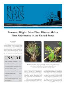 PLANT  INDUSTRY NEWS Boxwood Blight: New Plant Disease Makes