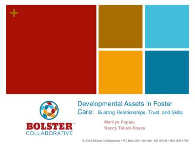 +  Developmental Assets in Foster Care: Building Relationships, Trust, and Skills Marilyn Peplau Nancy Tellett-Royce
