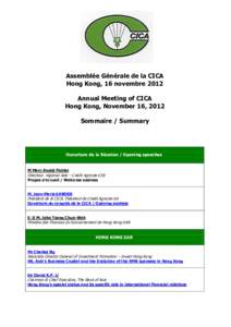 Assemblée Générale de la CICA Hong Kong, 16 novembre 2012 Annual Meeting of CICA Hong Kong, November 16, 2012 Sommaire / Summary