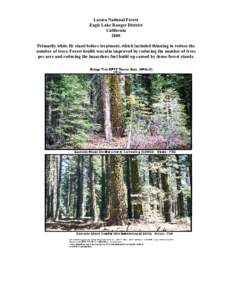 Lassen National Forest Eagle Lake Ranger District California 2000 Primarily white fir stand before treatment, which included thinning to reduce the number of trees. Forest health was also improved by reducing the number 
