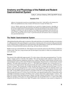 Gastroenterology / Domestic rabbit / Cecum / Human gastrointestinal tract / Monogastric / Rabbit / Colon / Hindgut fermentation / Digestive disease / Digestive system / Biology / Anatomy